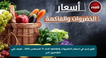 تغير جديد في أسعار الخضروات والفاكهة الأحد 17 أغسطس 2025.. تعرف على التفاصيل الآن